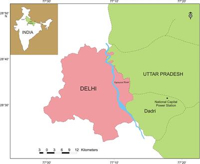 Phenotypic Responses of Some Functional Traits in Four Native Perennial Grass Species Grown on Fly Ash Dump and Native Soil